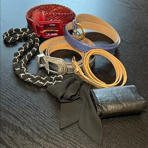 Lot of 6 Women’s Belts - Genuine & Faux Leather, Snakeskin, Chain, Gold Sparkle